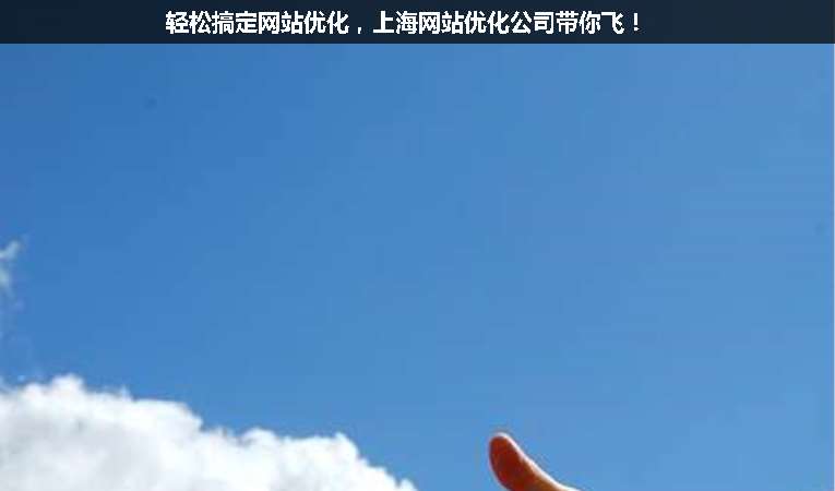 輕松搞定網(wǎng)站優(yōu)化，上海網(wǎng)站優(yōu)化公司帶你飛！